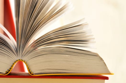 Composition with books on the table