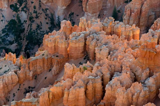 sunrise in Bryce Canyon National Park in Utah