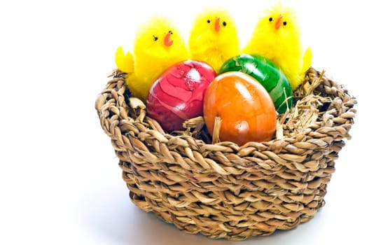 Easter nest with dyed eggs and chicks