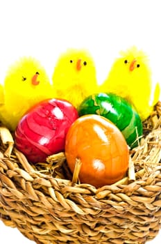 Easter nest with dyed eggs and chicks