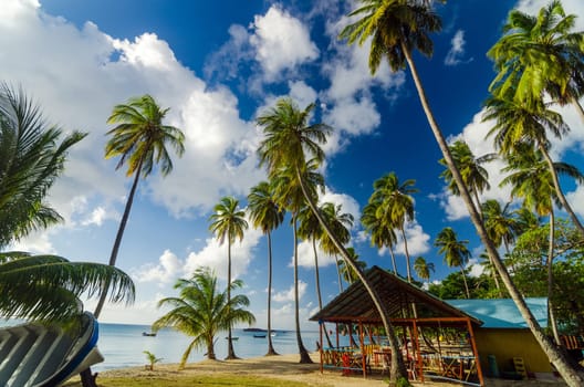 Beach shack with palm trees on beautiful white sand Caribbean beach.