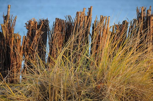 Dune protection