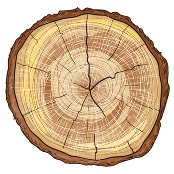 Brown timber cut isolated on white background