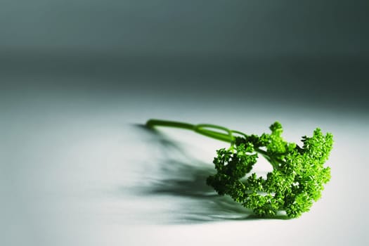 Parsley with exciting shadows