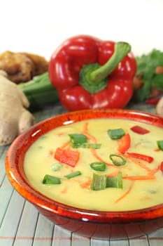 Curry soup with colorful vegetables and chicken