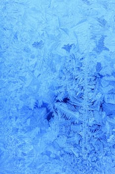 Ice flowers on an icy window pane