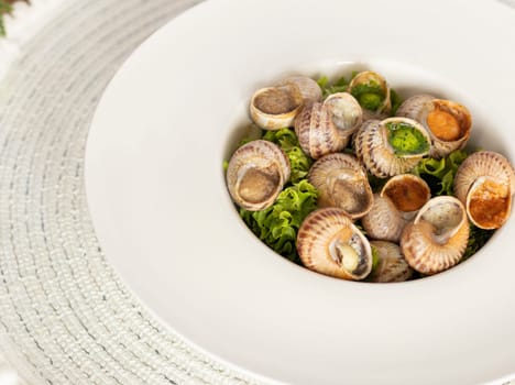 snails dishes, snails ready to eat. Restaurant serving in a deep white plate. Serving dish, snails in a plate. dinner in a restaurant. photo for restaurant menu