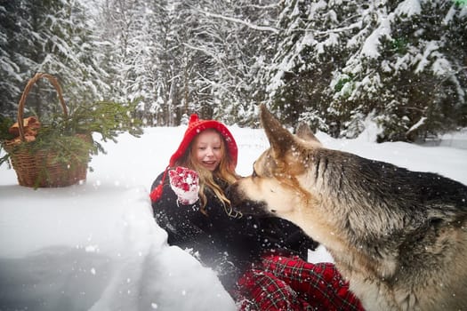 Cute little girl in red cap or hat and black coat with basket of green fir branches in snow forest and big dog shepherd looking as wolf on cold winter day. Fun and fairytale on photo shoot