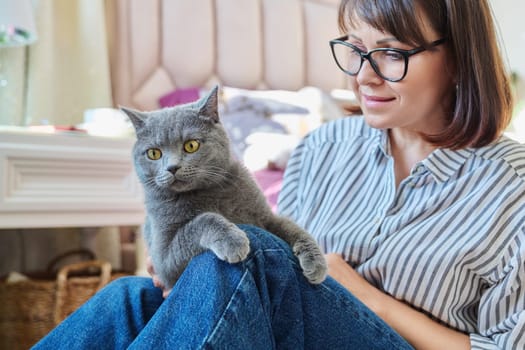 Gray cat in hands of woman at home, cat sitting on knees, woman owner talking touching pet, love friendship, animals people concept