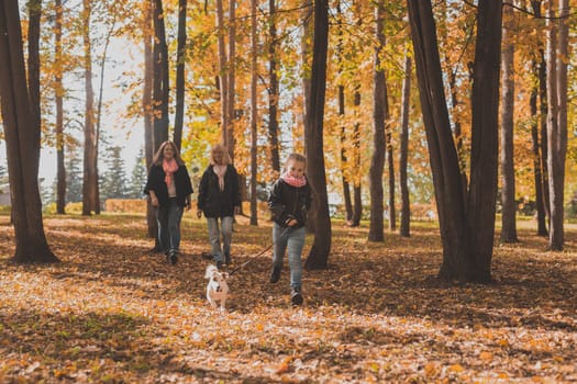 Little girl running with her dog jack russell terrier among autumn leaves. Mother and grandmother walks behind.