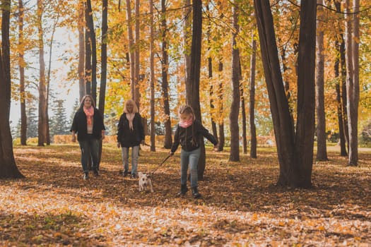 Little girl running with her dog jack russell terrier among autumn leaves. Mother and grandmother walks behind.