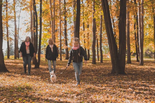 Little girl running with her dog jack russell terrier among autumn leaves. Mother and grandmother walks behind.