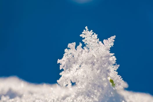 Ice crystals on the blade of grass