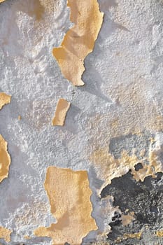 color on a ancient wall