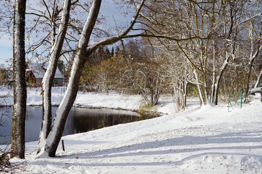 landscape near the pond with the autumn trees under snow