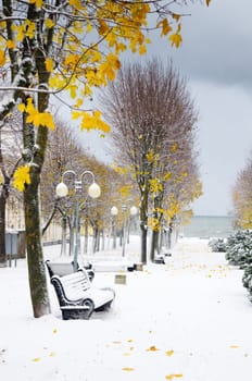 Alley in the Park later in the autumn. Snow storm
