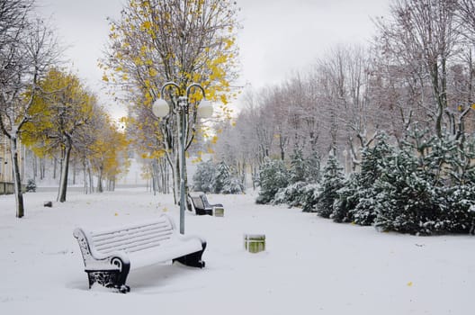 Alley in the Park later in the autumn. Snow storm