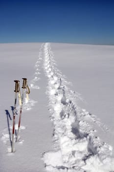 Snowshoe tracks on the mountain