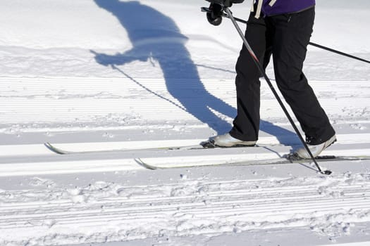 Cross-country skiing in Bavaria