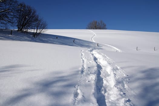 Snowshoe hike through the beautiful wintry landscape