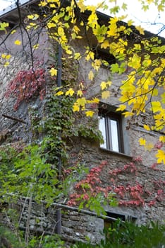 stone house with trees during autumn