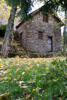 stone house and lawn with yellow leaves in autumn