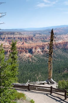 Bryce Canyon National Park in Utah in the United States of America