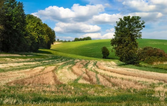 Rural idyll with hilly fields and meadows