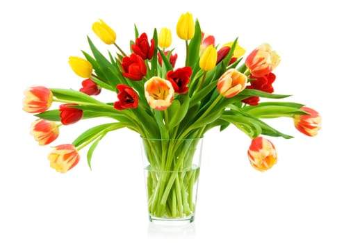 Smart bouquet of tulips in a glass vase on a white background