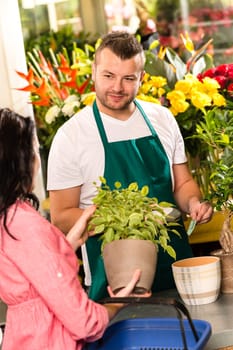 Smiling male florist selling potted plant flower shop market woman