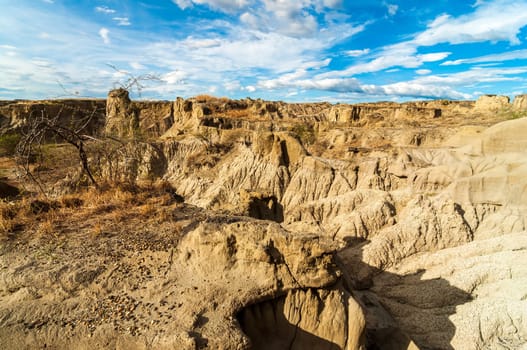 Wide angle view of dry parched desert landscape