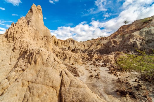 Dry desert with a deep blue sky