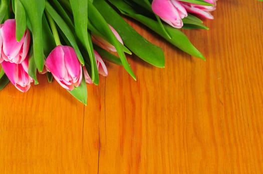 Tulips in Spring Table Decoration