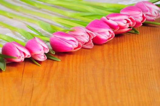 Tulips in Spring Table Decoration