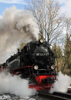 Trip to the Brocken in the Harz Mountains