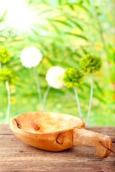 Wooden trowel against natural background