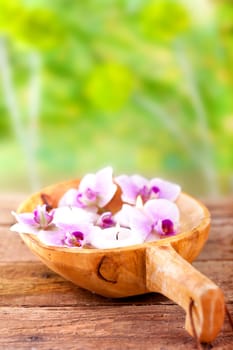 Wellness and spa concept with orchids