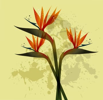 Spring time contemporary grunge bird of the paradise flowers. EPS10 file version. This illustration contains transparencies and is layered for easy manipulation and custom coloring