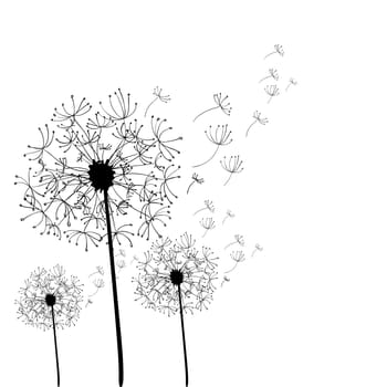Hand drawn dandelion isolated over white background. Vector file layered for easy manipulation and custom coloring.