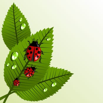 Spring ladybug and leaves with water drop background. Vector file layered for easy manipulation and custom coloring.