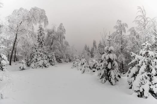 Hoarfrost