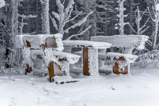 Hoarfrost