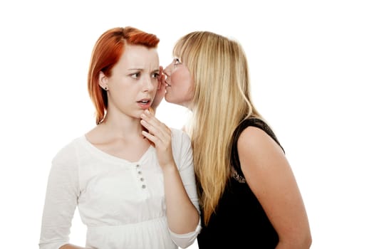 young beautiful red and blond haired girls in front of white background