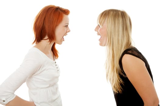 young beautiful red and blond haired girls in front of white background