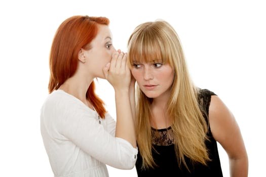 young beautiful red and blond haired girls in front of white background