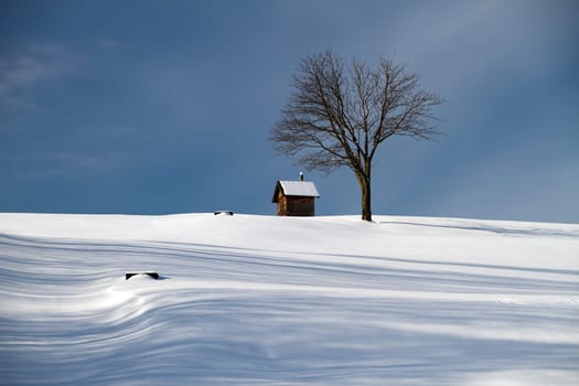 The Cabin