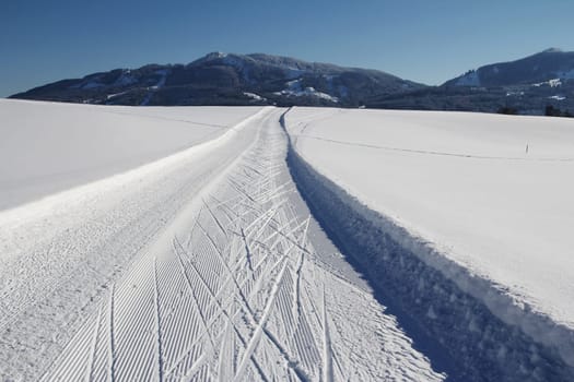 Winter sports - skating track in the Allgäu