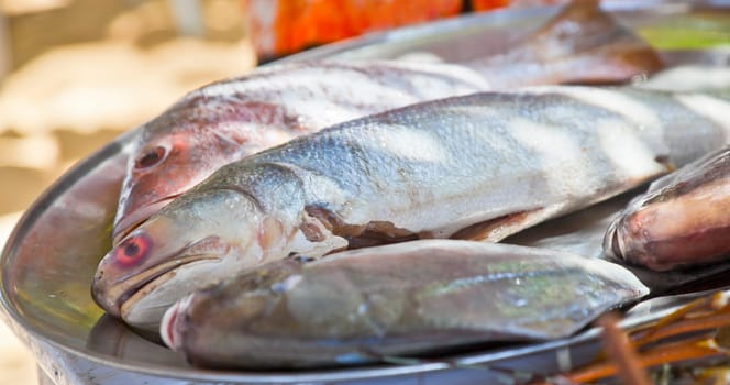 horizontal shot of fresh sea fish on a silver platter display on a able in the shade of a tree outdoors. Generic shot location was Goa India and fish believed to be sea bass, pomfret and soumi