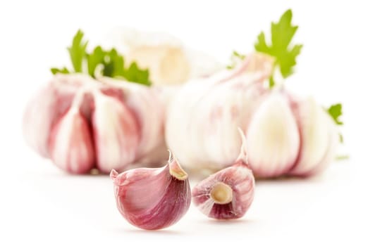 Fresh garlic with parsley isolated on white