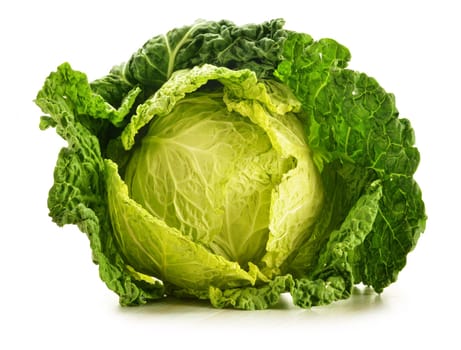 Fresh cabbage isolated on white